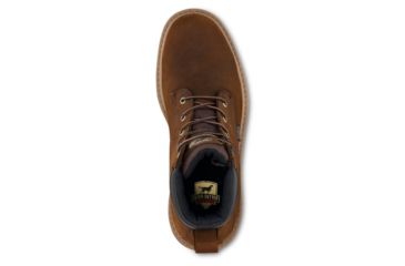 irish setter hopkins