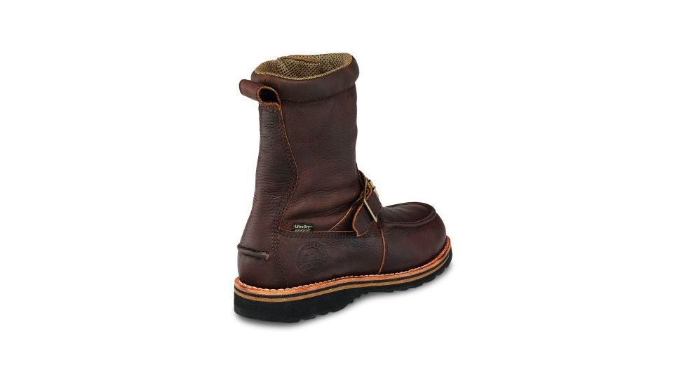 irish setter wingshooter 839