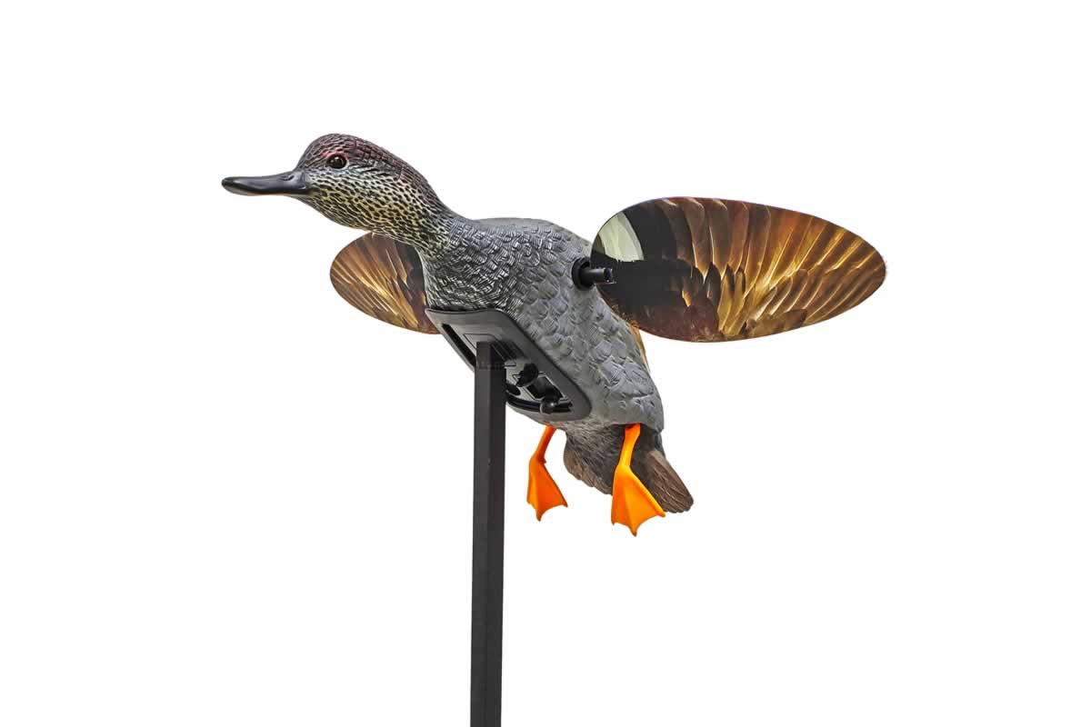 Mojo Elite Series Gadwall Decoy Free S H Hw2473 Mojo Hunting Gear