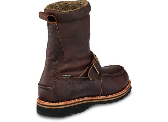 irish setter wingshooter 839