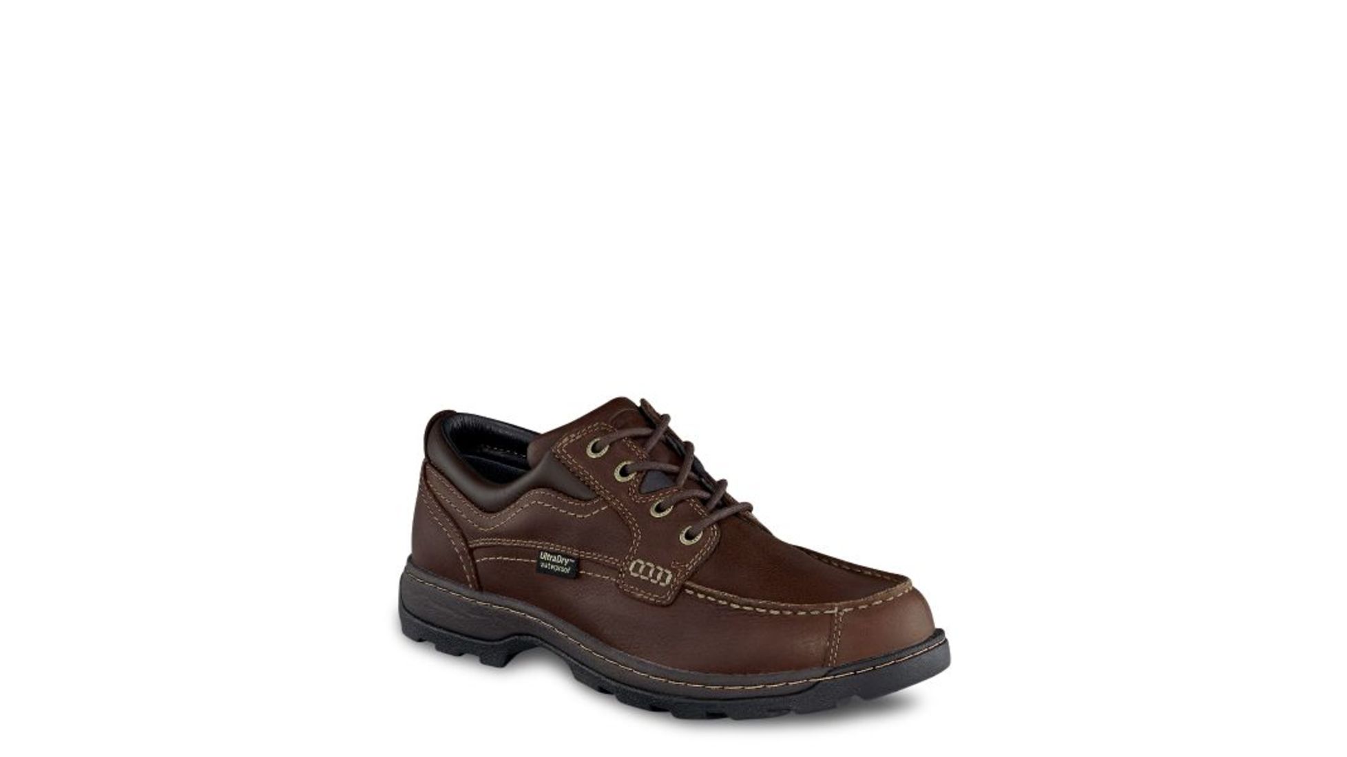 irish setter soft paw 3874